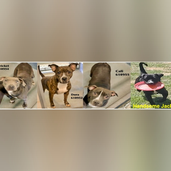 Vintage shimmering iridescent burgundy / maroon 3/4 sleeve size small! - Picture 4 of 4